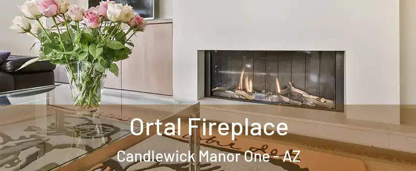 Ortal Fireplace Candlewick Manor One - AZ