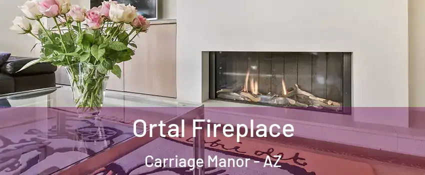 Ortal Fireplace Carriage Manor - AZ