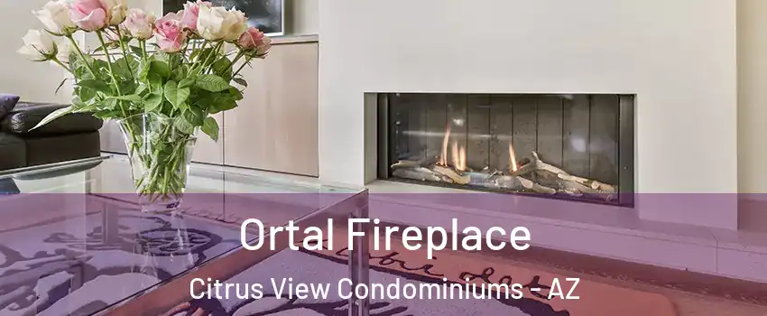 Ortal Fireplace Citrus View Condominiums - AZ