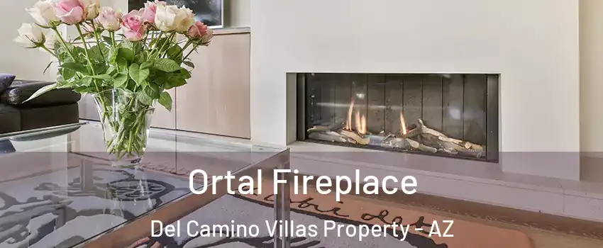 Ortal Fireplace Del Camino Villas Property - AZ