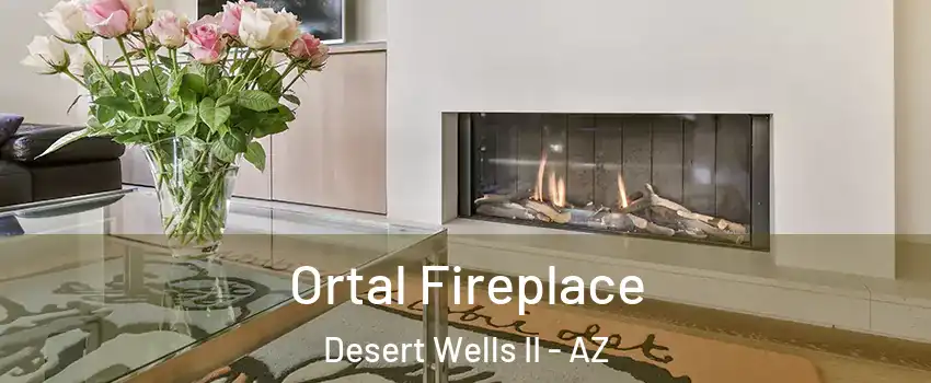 Ortal Fireplace Desert Wells II - AZ
