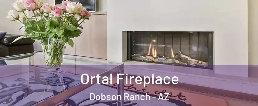Ortal Fireplace Dobson Ranch - AZ