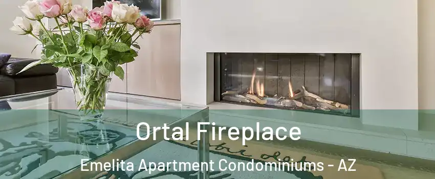 Ortal Fireplace Emelita Apartment Condominiums - AZ