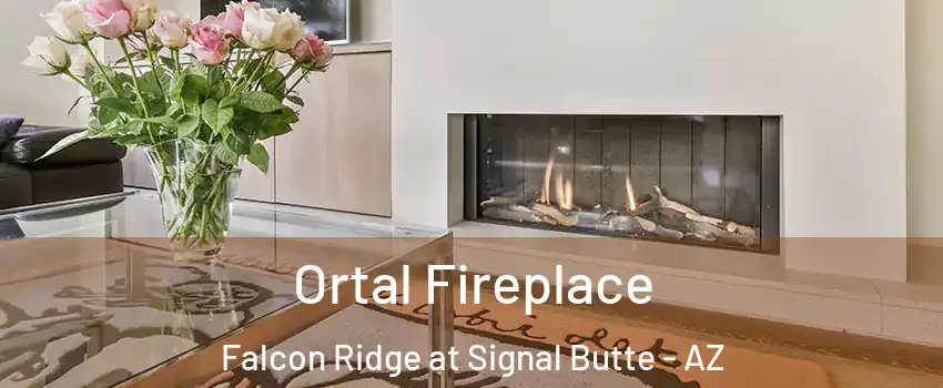 Ortal Fireplace Falcon Ridge at Signal Butte - AZ