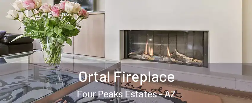 Ortal Fireplace Four Peaks Estates - AZ