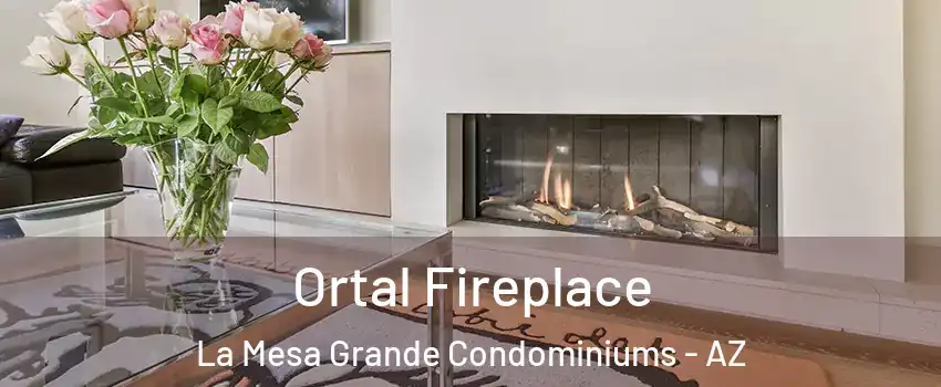 Ortal Fireplace La Mesa Grande Condominiums - AZ