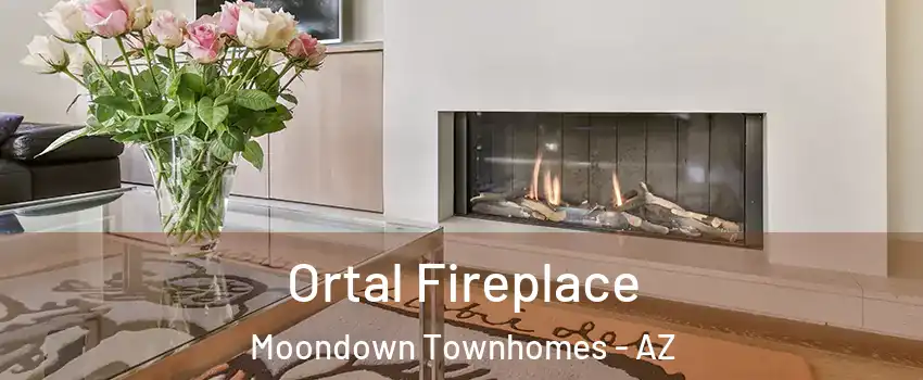 Ortal Fireplace Moondown Townhomes - AZ