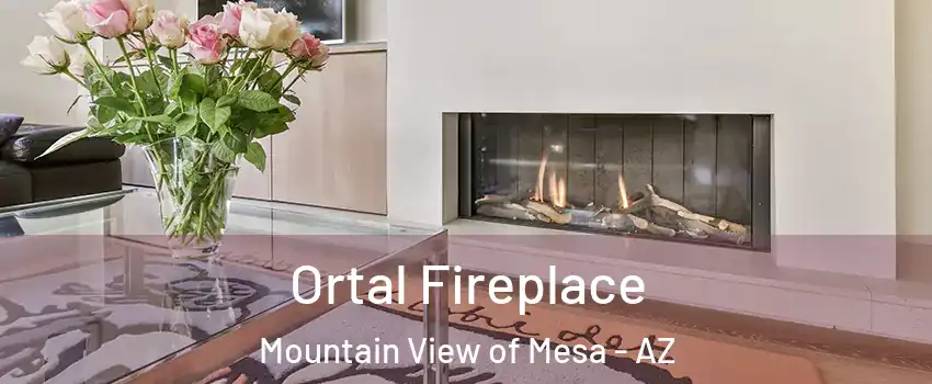 Ortal Fireplace Mountain View of Mesa - AZ