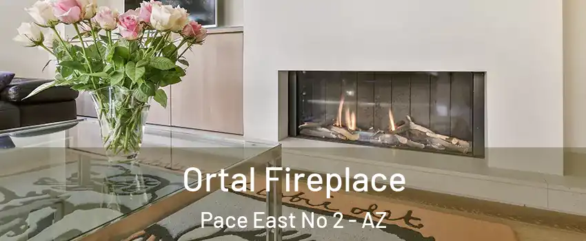 Ortal Fireplace Pace East No 2 - AZ