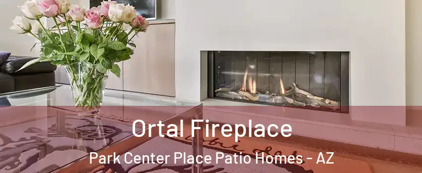 Ortal Fireplace Park Center Place Patio Homes - AZ