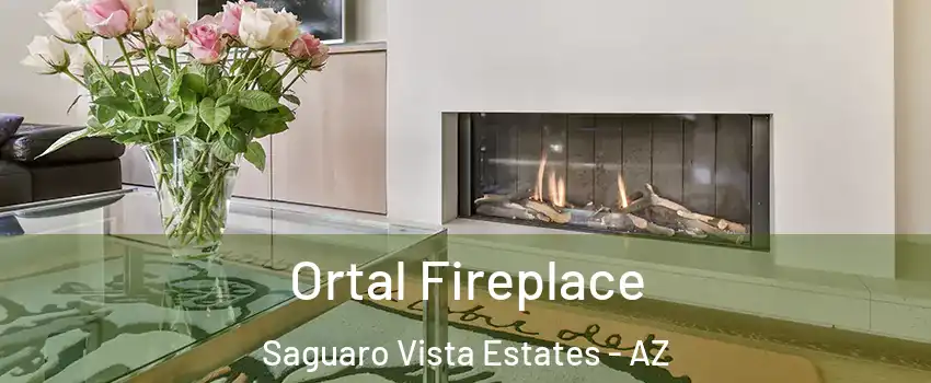 Ortal Fireplace Saguaro Vista Estates - AZ