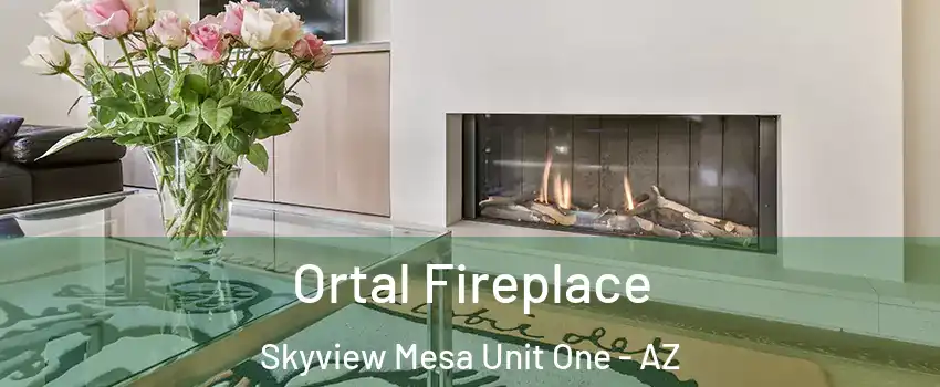 Ortal Fireplace Skyview Mesa Unit One - AZ