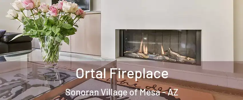 Ortal Fireplace Sonoran Village of Mesa - AZ