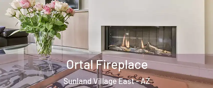 Ortal Fireplace Sunland Village East - AZ