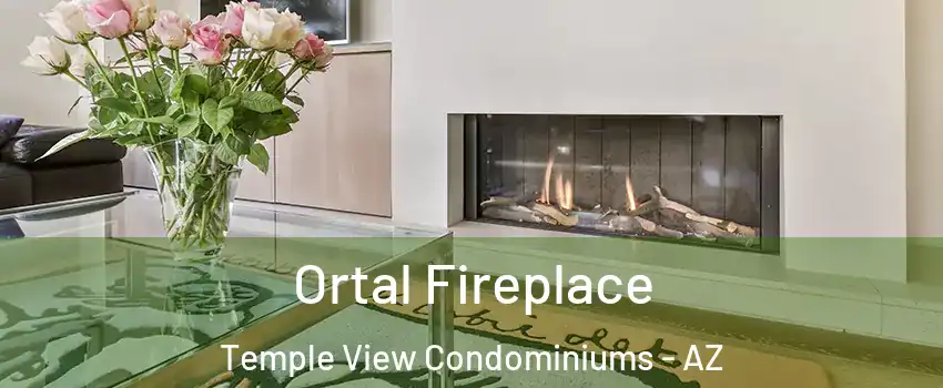 Ortal Fireplace Temple View Condominiums - AZ