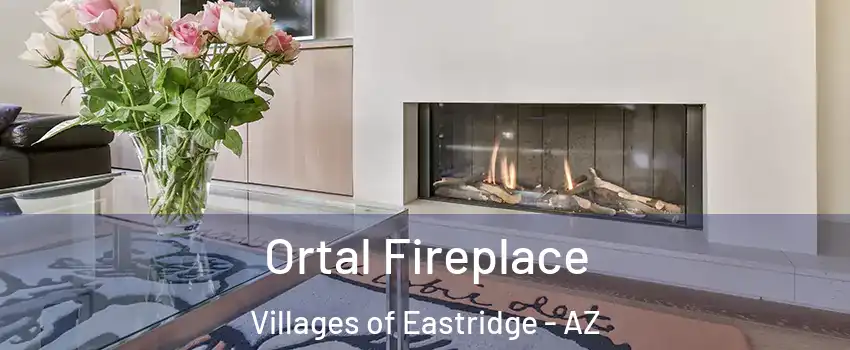 Ortal Fireplace Villages of Eastridge - AZ