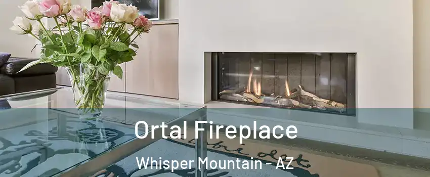 Ortal Fireplace Whisper Mountain - AZ