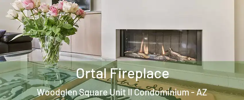 Ortal Fireplace Woodglen Square Unit II Condominium - AZ