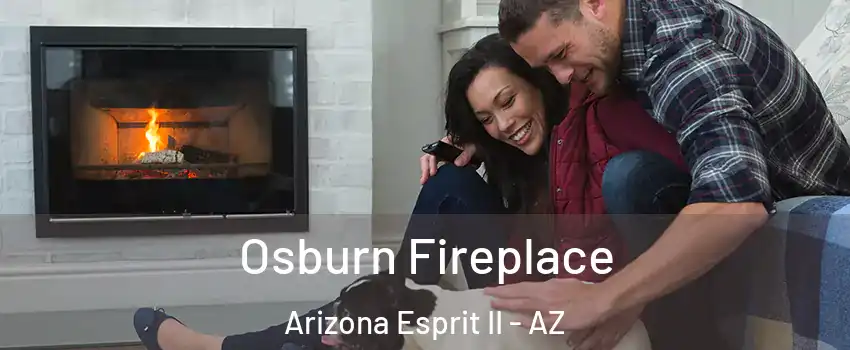 Osburn Fireplace Arizona Esprit II - AZ