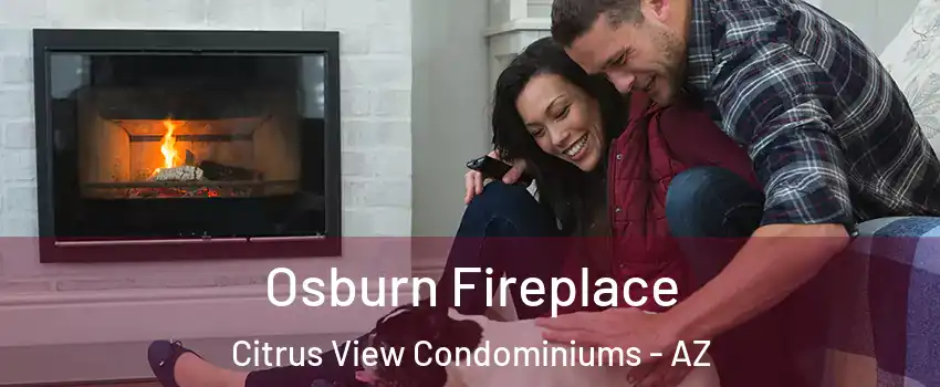 Osburn Fireplace Citrus View Condominiums - AZ