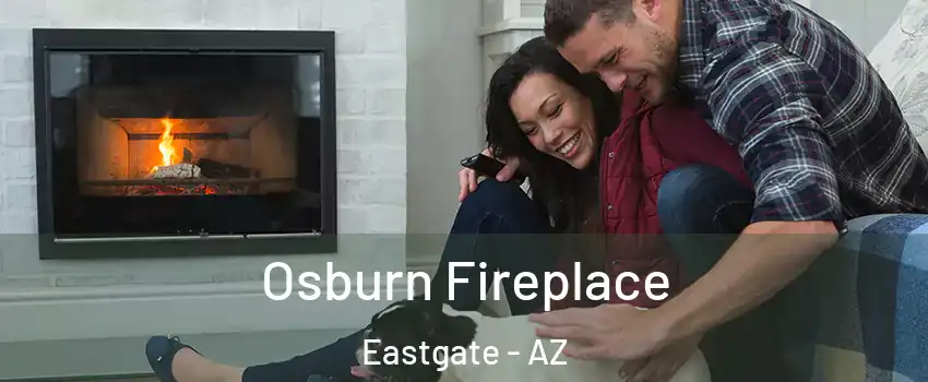 Osburn Fireplace Eastgate - AZ
