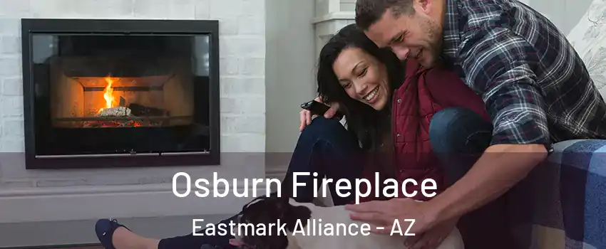 Osburn Fireplace Eastmark Alliance - AZ