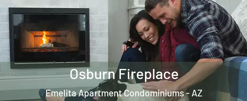 Osburn Fireplace Emelita Apartment Condominiums - AZ