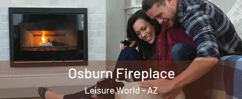 Osburn Fireplace Leisure World - AZ