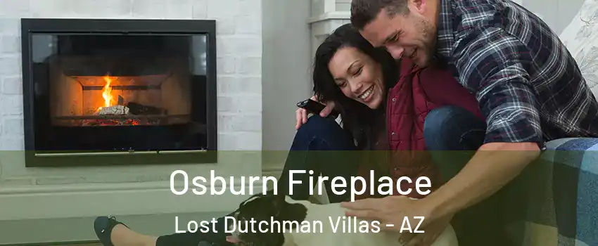 Osburn Fireplace Lost Dutchman Villas - AZ
