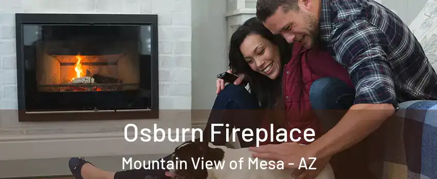 Osburn Fireplace Mountain View of Mesa - AZ