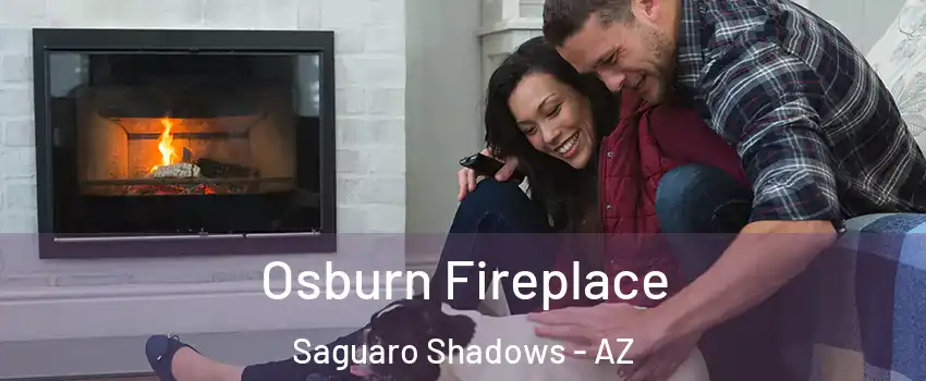 Osburn Fireplace Saguaro Shadows - AZ