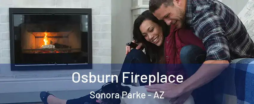 Osburn Fireplace Sonora Parke - AZ