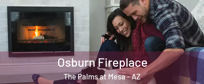 Osburn Fireplace The Palms at Mesa - AZ