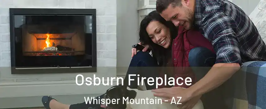 Osburn Fireplace Whisper Mountain - AZ