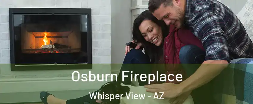 Osburn Fireplace Whisper View - AZ