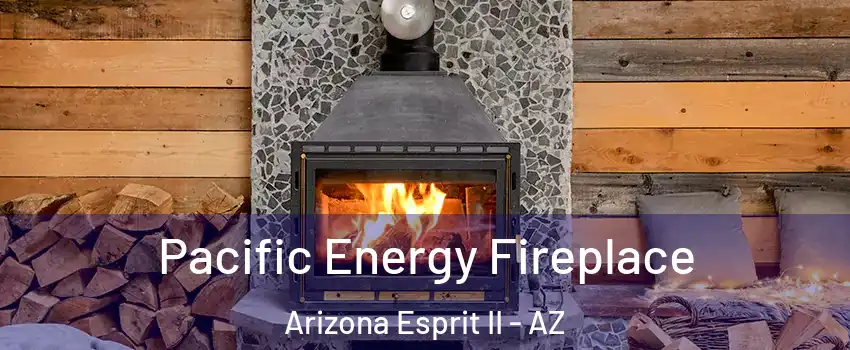 Pacific Energy Fireplace Arizona Esprit II - AZ