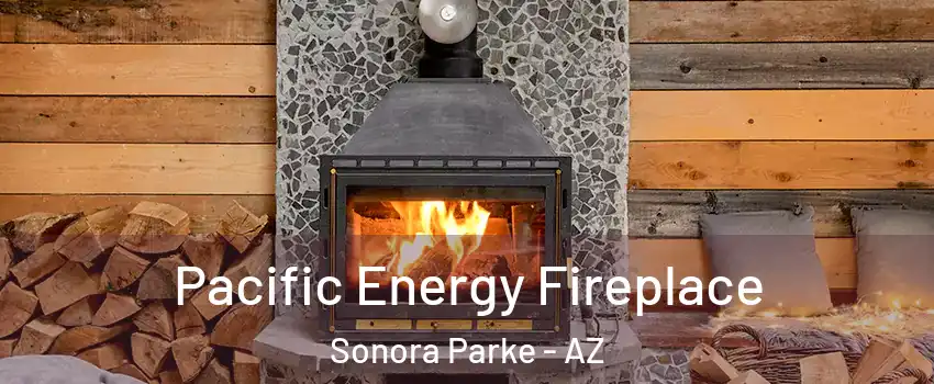Pacific Energy Fireplace Sonora Parke - AZ