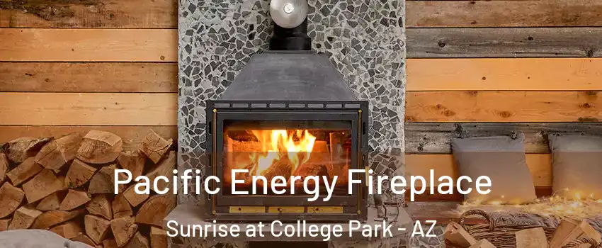 Pacific Energy Fireplace Sunrise at College Park - AZ