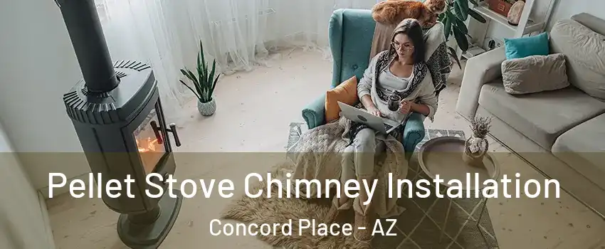 Pellet Stove Chimney Installation Concord Place - AZ