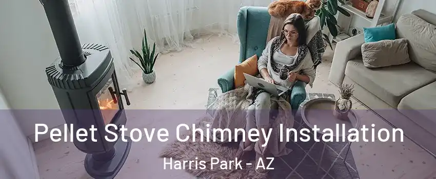 Pellet Stove Chimney Installation Harris Park - AZ