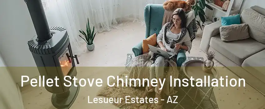 Pellet Stove Chimney Installation Lesueur Estates - AZ