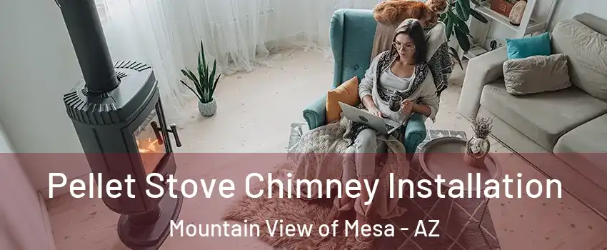 Pellet Stove Chimney Installation Mountain View of Mesa - AZ