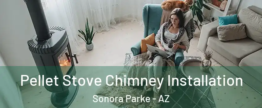 Pellet Stove Chimney Installation Sonora Parke - AZ
