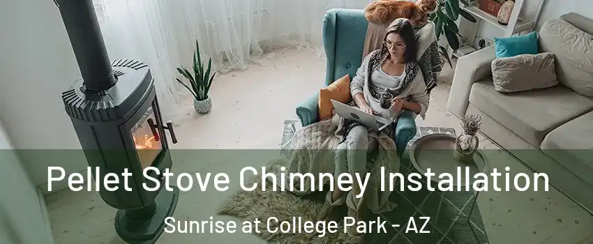 Pellet Stove Chimney Installation Sunrise at College Park - AZ