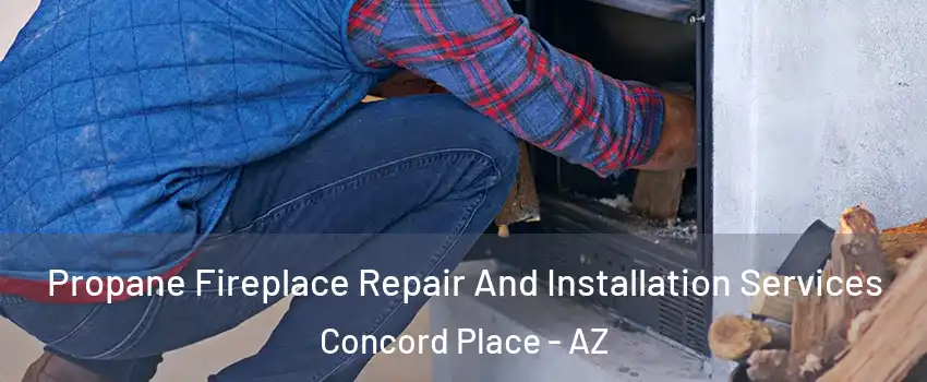 Propane Fireplace Repair And Installation Services Concord Place - AZ