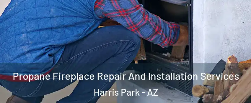 Propane Fireplace Repair And Installation Services Harris Park - AZ