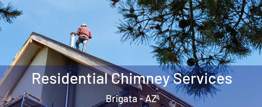Residential Chimney Services Brigata - AZ