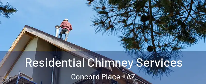 Residential Chimney Services Concord Place - AZ