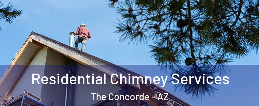 Residential Chimney Services The Concorde - AZ