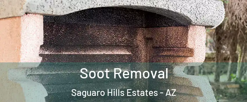 Soot Removal Saguaro Hills Estates - AZ
